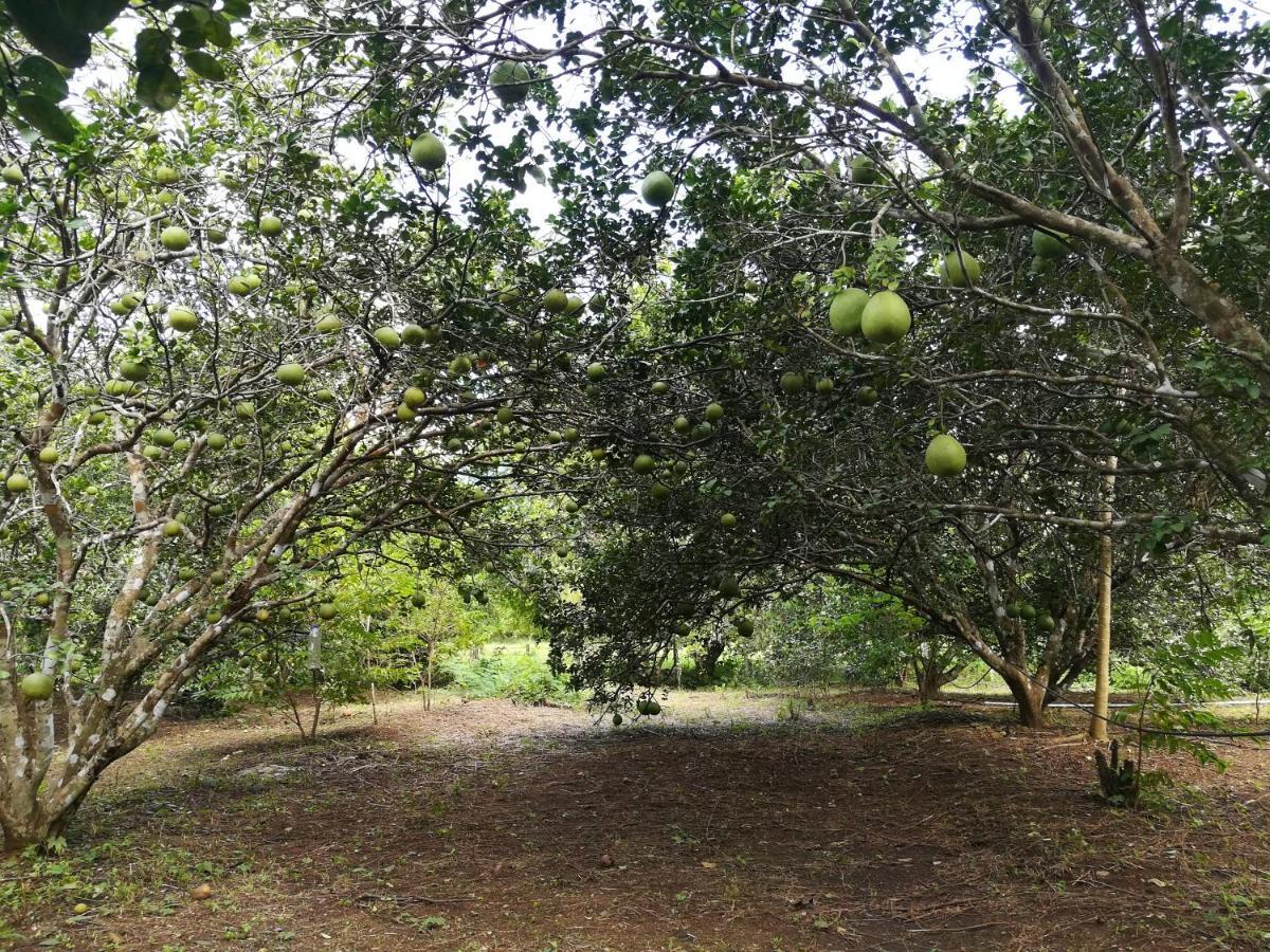 Star View Garden Villa Sai Yok Exterior photo